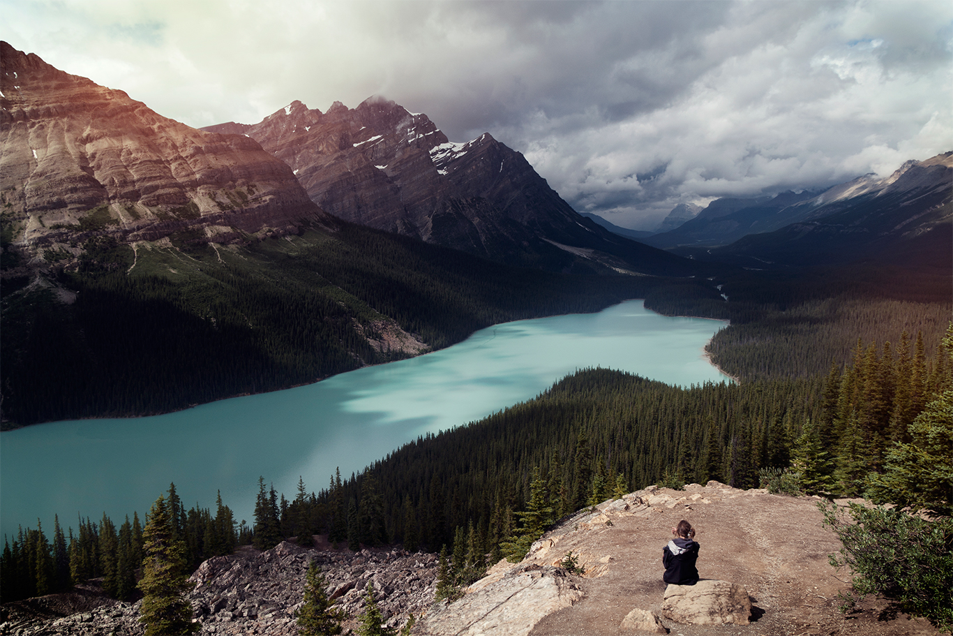 Turquoise glacier-fed Peyto Lake in the Canadian Rockies, Alberta