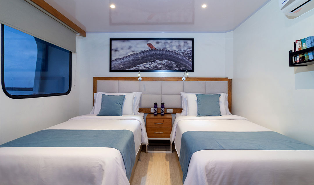 Twin room - Reina Silvia Voyager